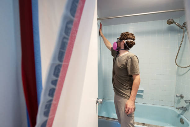 Best Mold Remediation for Healthcare Facilities  in Laurel Park, NC