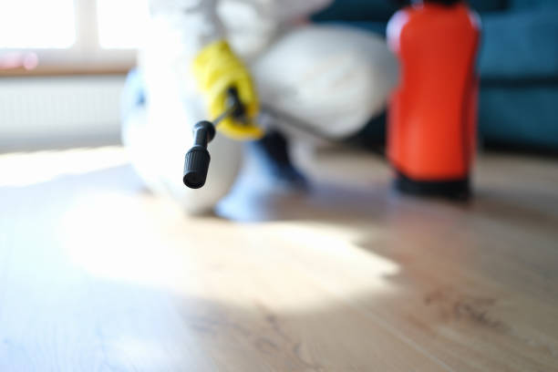 Best Commercial Mold Inspection  in Laurel Park, NC