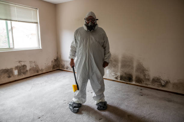Best Forensic Mold Investigation  in Laurel Park, NC